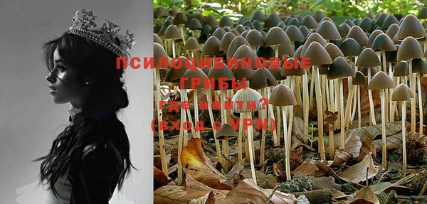 MESCALINE Баксан