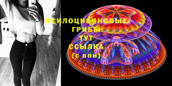 СК Заводоуковск