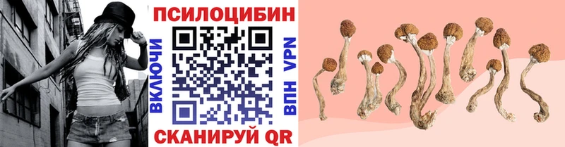 Галлюциногенные грибы Psilocybine cubensis  Кузнецк 